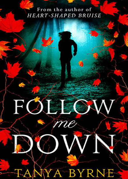 Follow Me Down book cover